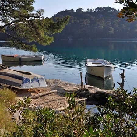 Authentic Ap For 2, Babino Polje,Mljet Daire Dış mekan fotoğraf