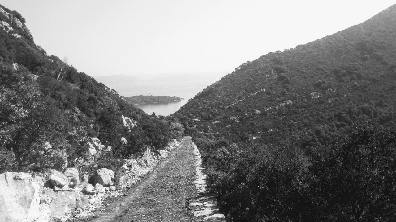 Authentic Ap For 2, Babino Polje,Mljet Daire Dış mekan fotoğraf
