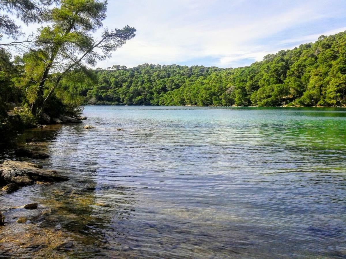 Authentic Ap For 2, Babino Polje,Mljet Daire Dış mekan fotoğraf