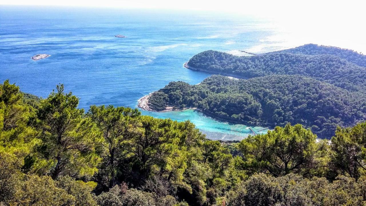 Authentic Ap For 2, Babino Polje,Mljet Daire Dış mekan fotoğraf