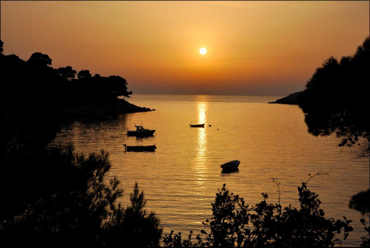 Authentic Ap For 2, Babino Polje,Mljet Daire Dış mekan fotoğraf