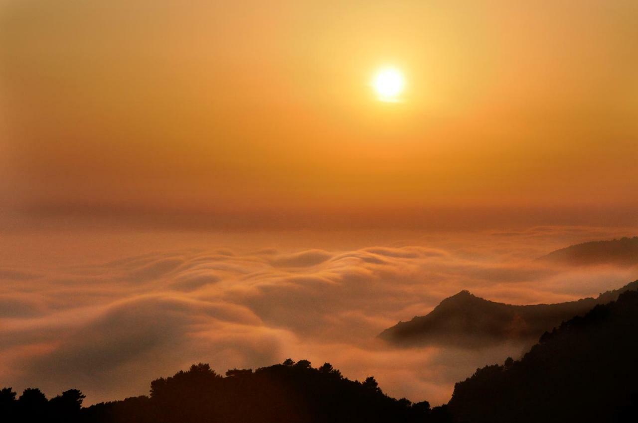 Authentic Ap For 2, Babino Polje,Mljet Daire Dış mekan fotoğraf