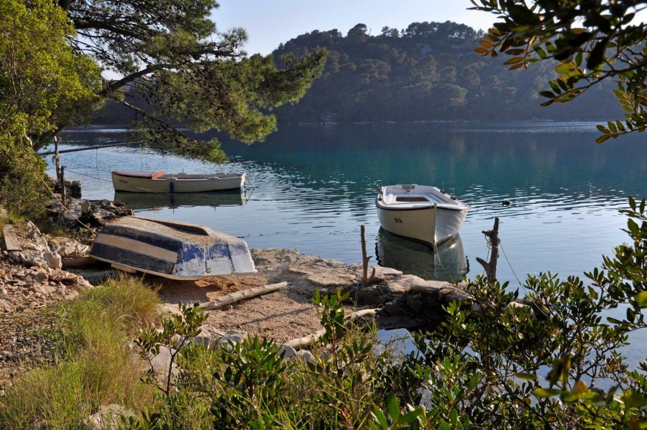 Authentic Ap For 2, Babino Polje,Mljet Daire Dış mekan fotoğraf