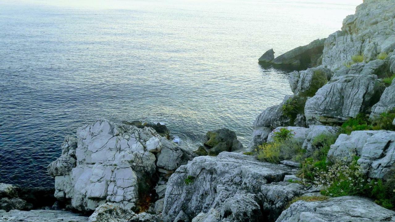 Authentic Ap For 2, Babino Polje,Mljet Daire Dış mekan fotoğraf