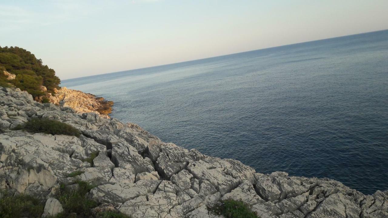 Authentic Ap For 2, Babino Polje,Mljet Daire Dış mekan fotoğraf